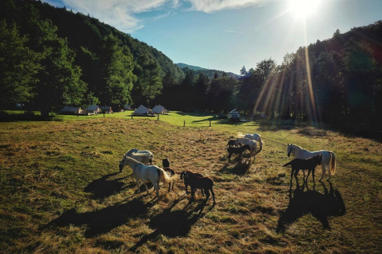 Eco River Camp Hotell Radovljica Exteriör bild